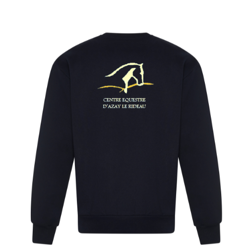 JH001 Sweat à capuche College brodé cœur & dos