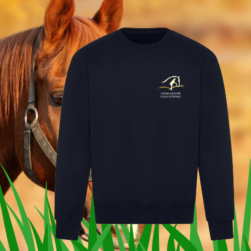 JH123 Sweat-shirt épais signature brodé cœur & dos