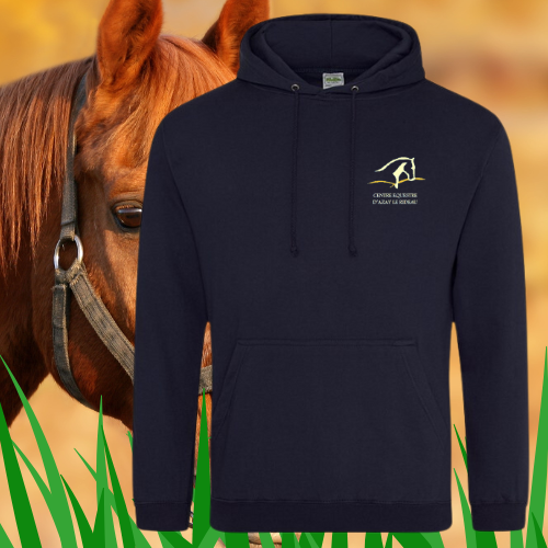 JH120 Sweat à capuche Signature boxy épais brodé cœur & dos